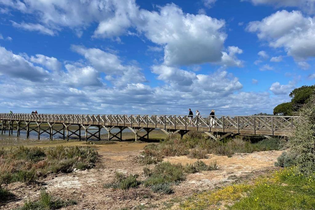 Ria Formosa National Park, Tavira