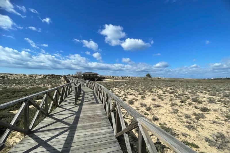 Ria Formosa National Park, photo 3