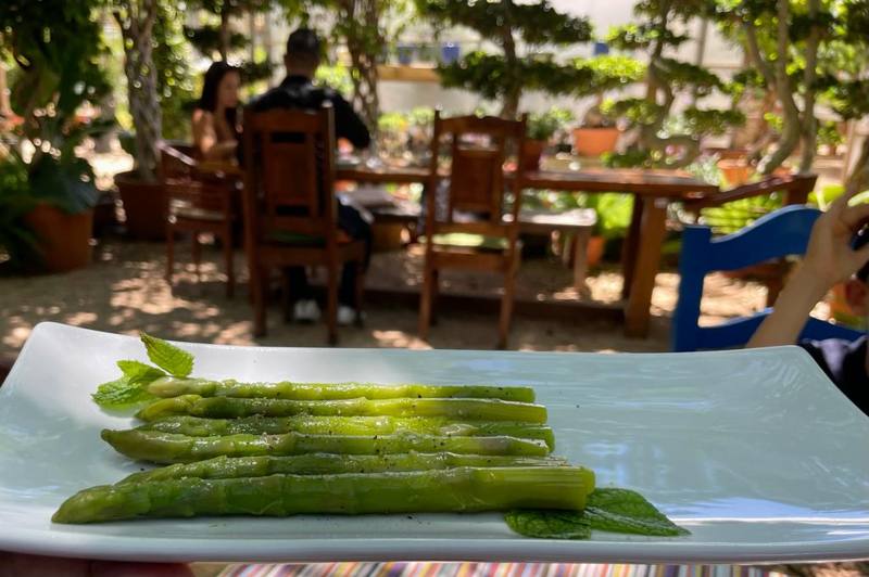 Garden Cafe Eden, photo 4