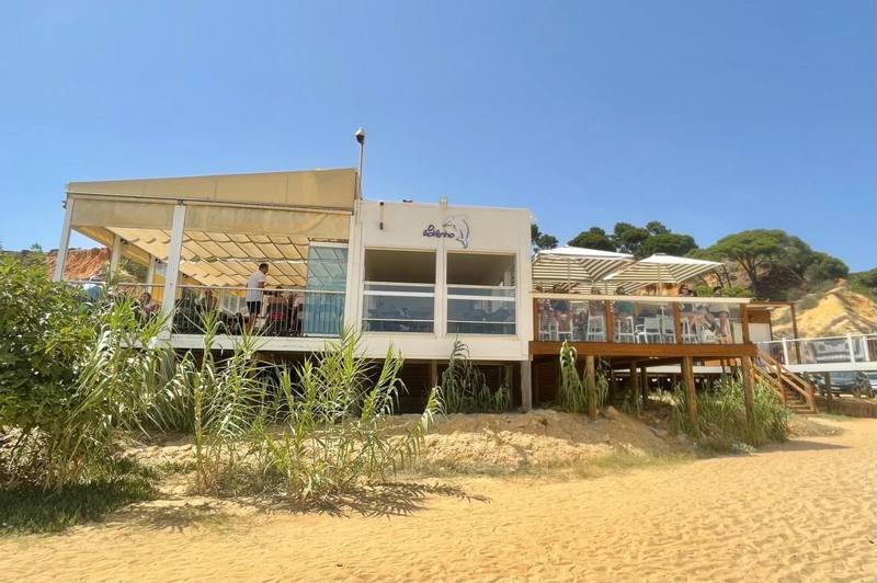 Golfinho Beachclub, photo 4