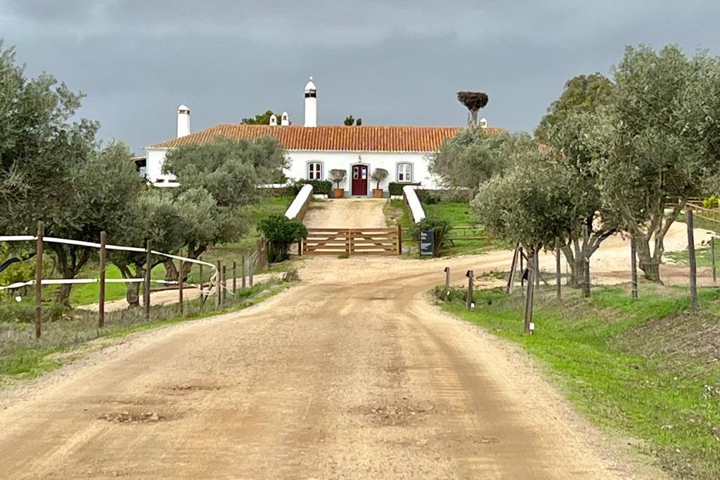 Malhadinha Nova Hotel Alentejo, Lisbon