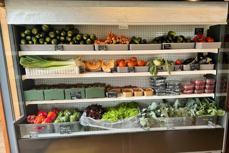 Horta da Orada, Ecological Nursery and Store, photo 4