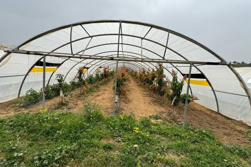 Horta da Orada, Ecological Nursery and Store, photo 5