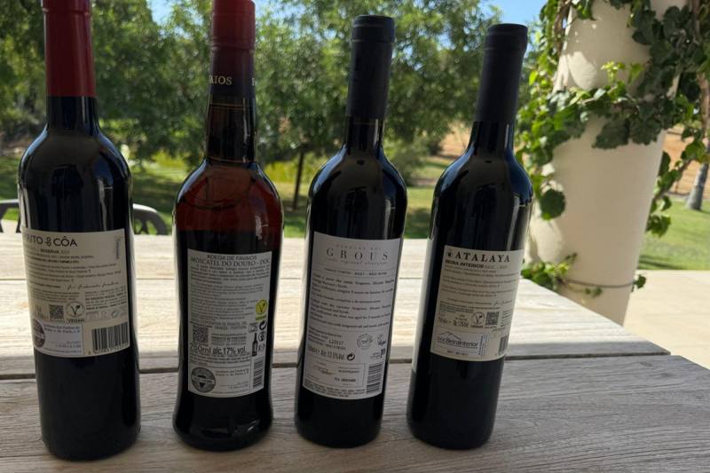 Wine Blog, photo 4