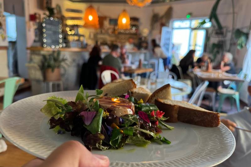 Vegetarian Restaurant Pisco, Vila do Bispo, photo 4