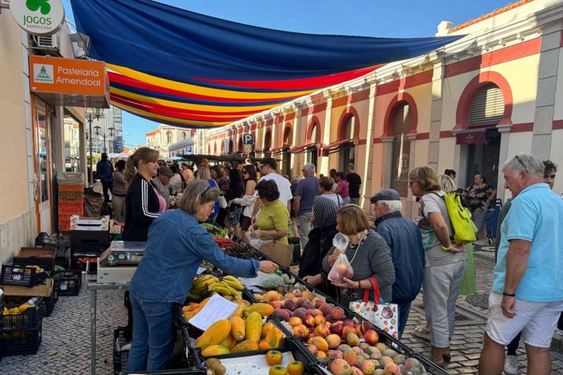 Indoor Market; Mercado Municipal de Loulé, photo 5