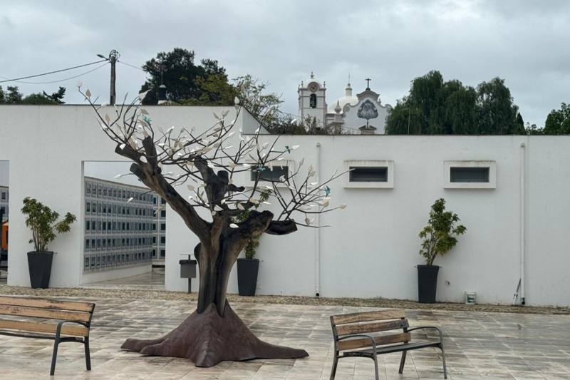 Dia de Todos os Santos, São Lourenço, photo 4