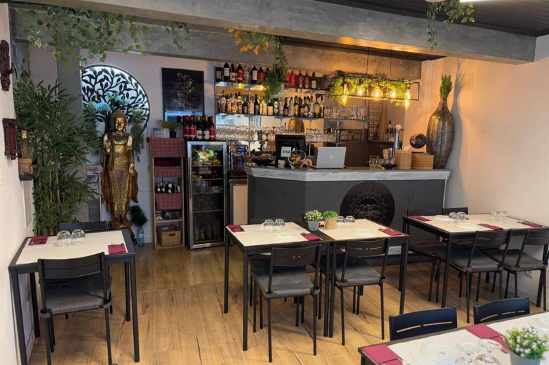 Momo Asian And Nepalese Restaurant Lagos, photo 2