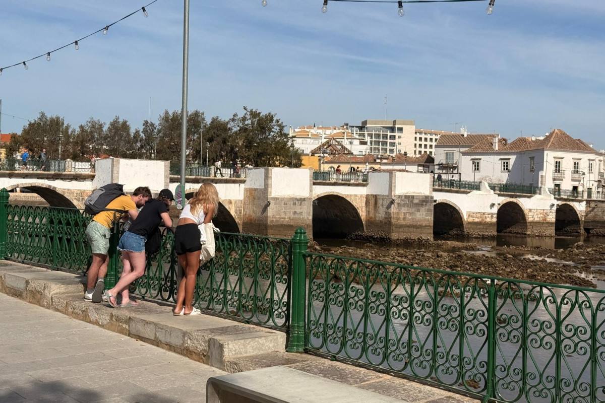 Bruncheria Tavira, Tavira