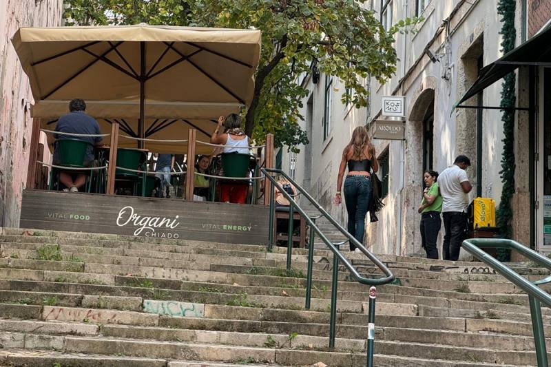 Organi Chiado, photo 5