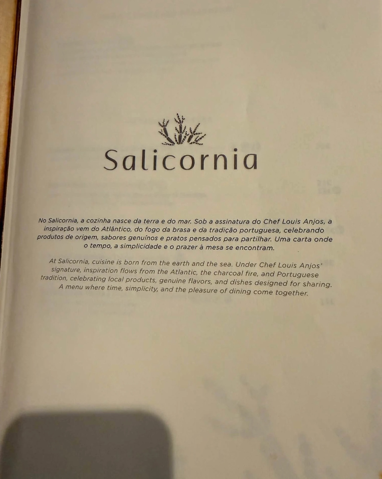 Salicórnia, photo 14